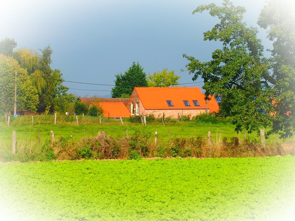 Archipel Holiday Cottage Ellezelles 外观 照片